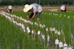 農(nóng)業(yè)氣象觀測設(shè)備有哪些特征